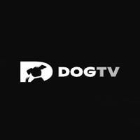 <br />
<b>Warning</b>:  Undefined variable $sec_name in <b>/home/stusyluk/discountcrown.com/store.php</b> on line <b>126</b><br />
DOGTV 